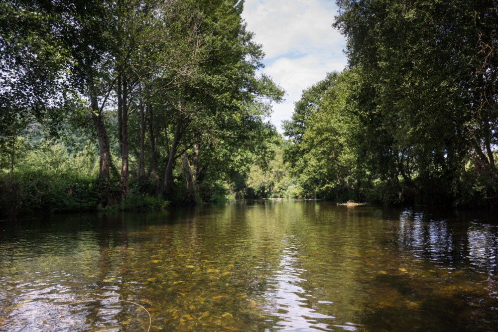 Láncara río Neira 2017 (5)