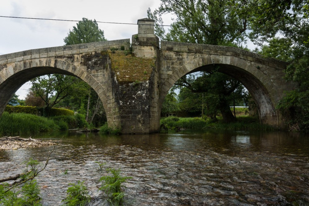 Láncara río Neira 2017 (6)