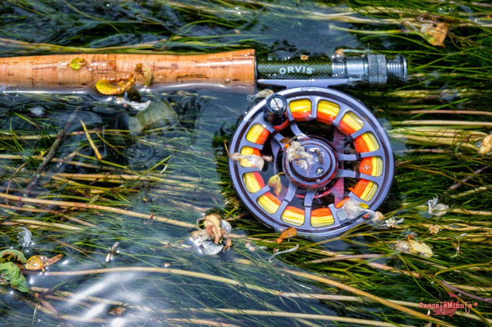 Láncara río Neira 2017 (7)