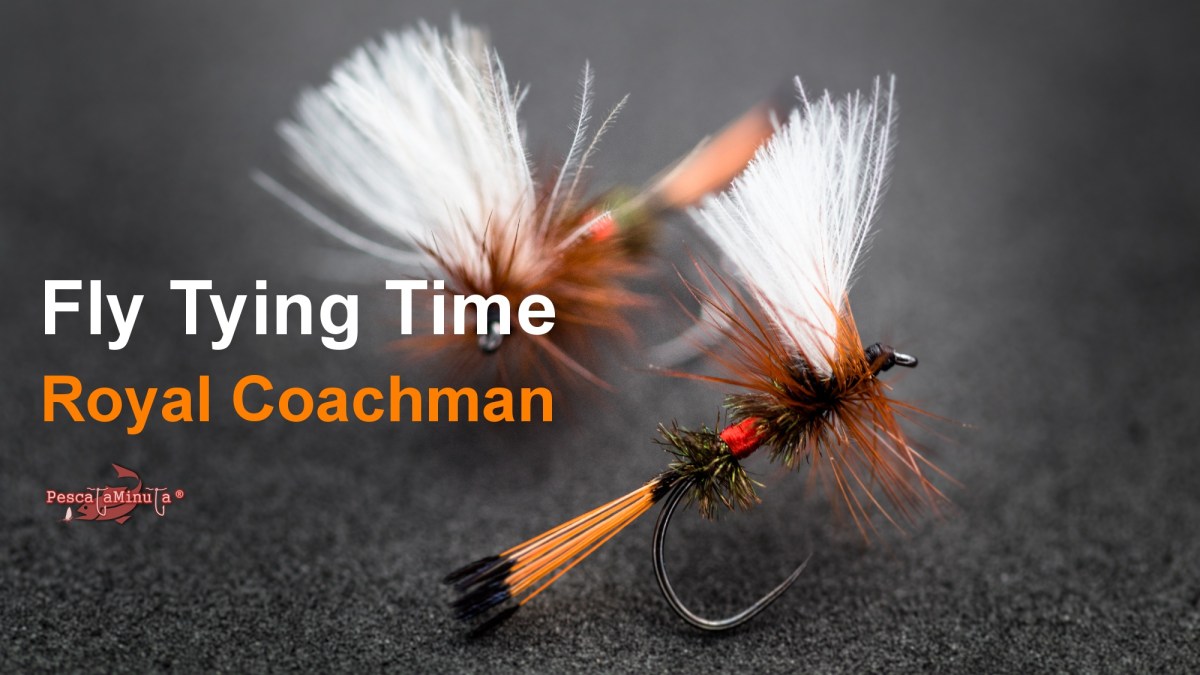 Fly Tying Time – Royal Coachman – Pesca a mosca, vídeo y fotografía